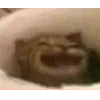 😆