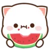 🍉