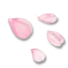 🌸
