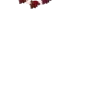🍷