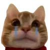 😭