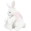 🐰