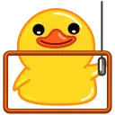 🩻