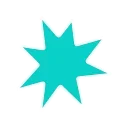 🌟