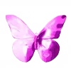 🦋