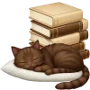 📚