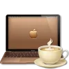 💻