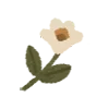 🌸