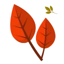 🍂