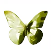 🦋