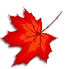 🍁