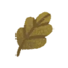 🍃