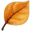 🍁