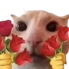 💐