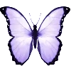🦋