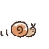 🐌