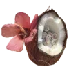 🥥
