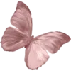 🦋