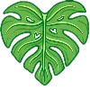 💚
