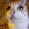 ☹️