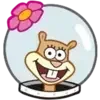 🐿️