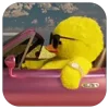 😎