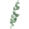 🌿