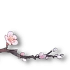 🌸