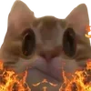 🔥