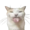 😝