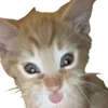 😱