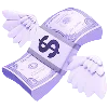 💸
