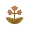 🌷