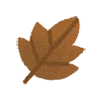 🍂