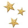 🌟