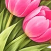 🌸