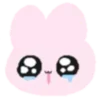 🎀