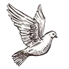 🕊
