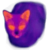 🐈‍⬛