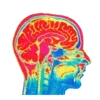 🧠