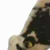 🫅