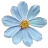 💐