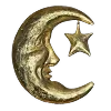 🌜