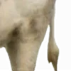 👇