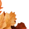 🍂
