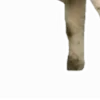 🤏