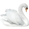🦢