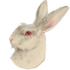 🪺