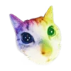 🐈‍⬛