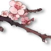 🌸